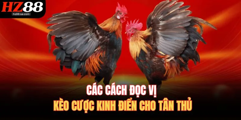 Đá Gà HZ88 3 Các cách đọc vị kèo cược kinh điển cho tân thủ