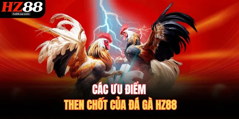 Đá Gà HZ88 1 Các ưu điểm then chốt của đá gà HZ88